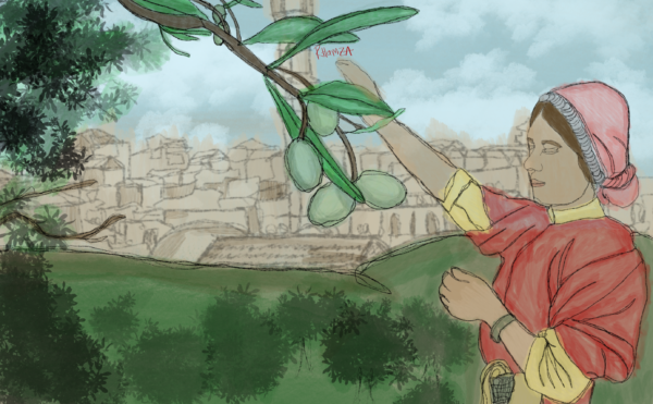 Land of the Olive Groves