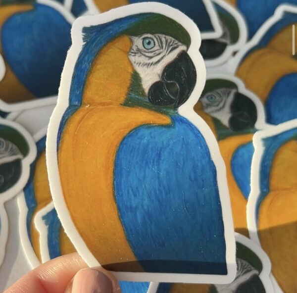 Macaw Sticker